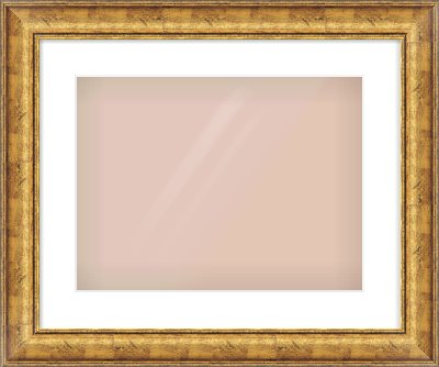 Gold Dome Frame for 406 × 305mm artwork, with Smooth White Single Mount