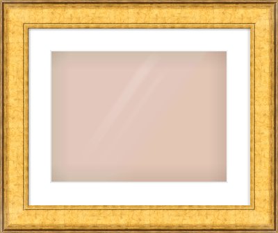 Gold Flat Frame for 406 × 305mm artwork, with Smooth White Single Mount