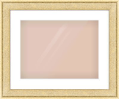 Gold Flat Frame for 406 × 305mm artwork, with Smooth White Single Mount