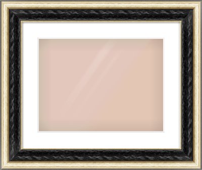 Black & Champagne Silver Spoon Frame for 406 × 305mm artwork, with Smooth White Single Mount
