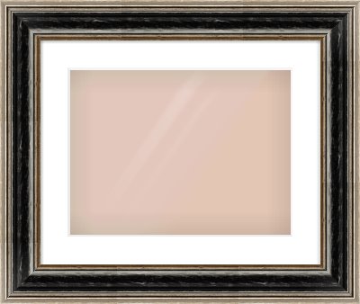 Black & Champagne Silver Spoon Frame for 406 × 305mm artwork, with Smooth White Single Mount