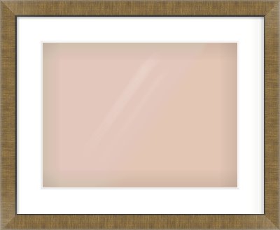 Bronze Flat Frame for 406 × 305mm artwork, with Smooth White Single Mount