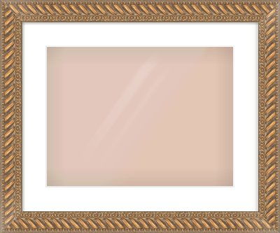 Gold Rope Frame for 406 × 305mm artwork, with Smooth White Single Mount
