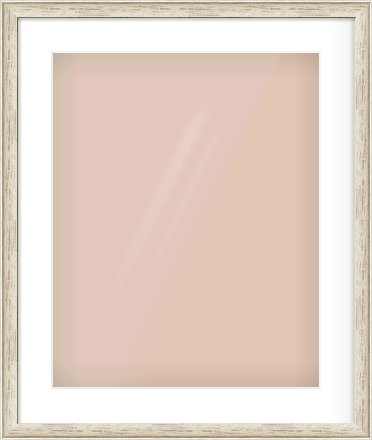 Champagne Silver with Black Sides Cushion Frame for 16 × 20in artwork, with Smooth White Single Mount