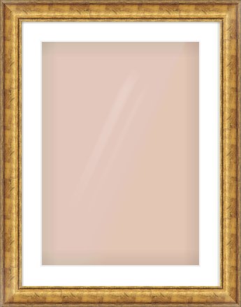 Gold Dome Frame for 420 × 594mm artwork, with Smooth White Single Mount