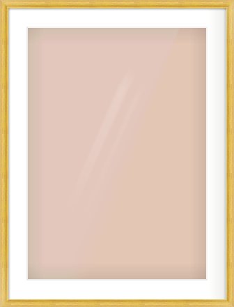 Gold Cushion Frame for 50 × 70cm artwork, with Smooth White Single Mount
