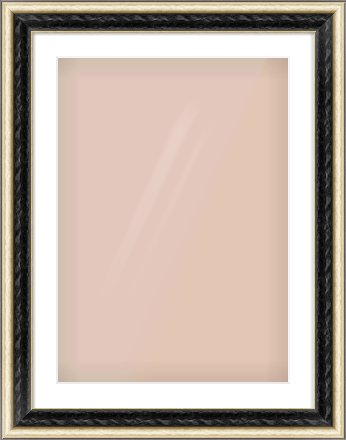 Black & Champagne Silver Spoon Frame for 50 × 70cm artwork, with Smooth White Single Mount