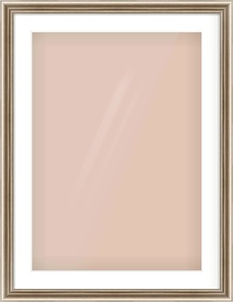 Silver Cushion Frame for 50 × 70cm artwork, with Smooth White Single Mount