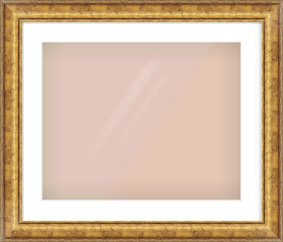 Gold Dome Frame for 20 × 16in artwork, with Smooth White Single Mount