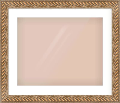 Gold Rope Frame for 20 × 16in artwork, with Smooth White Single Mount
