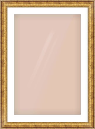 Gold Dome Frame for 20 × 30in artwork, with Smooth White Single Mount