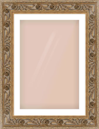 Gold Spoon Frame for 20 × 30in artwork, with Smooth White Single Mount