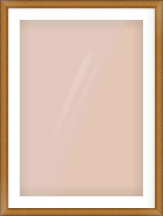 Bronze Cushion Frame for 594 × 841mm artwork, with Smooth White Single Mount