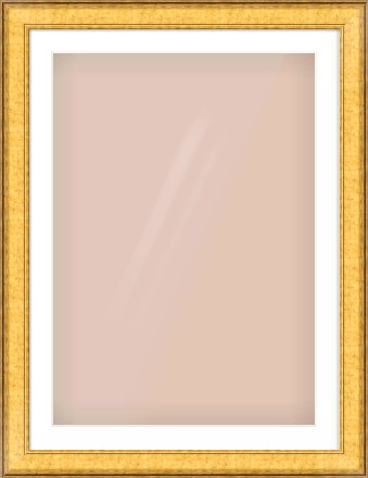 Gold Flat Frame for 594 × 841mm artwork, with Smooth White Single Mount