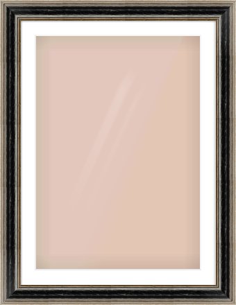 Black & Champagne Silver Spoon Frame for 594 × 841mm artwork, with Smooth White Single Mount