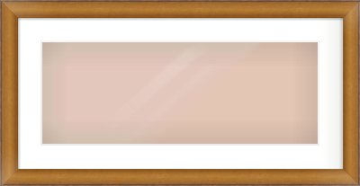 Bronze Cushion Frame for 24 × 9in artwork, with Smooth White Single Mount