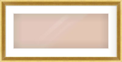 Gold Cushion Frame for 24 × 9in artwork, with Smooth White Single Mount