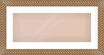 Gold Rope Frame for 24 × 9in artwork, with Smooth White Single Mount