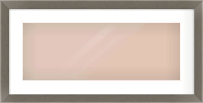 Pewter Flat Frame for 24 × 9in artwork, with Smooth White Single Mount