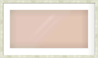 Champagne Flat Frame for 24 × 12in artwork, with Smooth White Single Mount