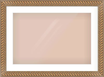 Gold Rope Frame for 24 × 16in artwork, with Smooth White Single Mount