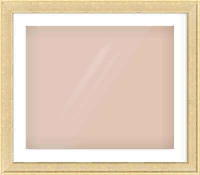 Gold Flat Frame for 24 × 20in artwork, with Smooth White Single Mount