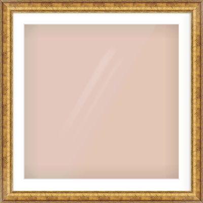 Gold Dome Frame for 700 × 700mm artwork, with Smooth White Single Mount