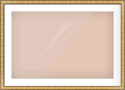 Gold Spoon Frame for 75 × 50cm artwork, with Smooth White Single Mount