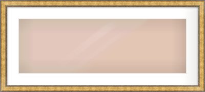 Gold Spoon Frame for 30 × 10in artwork, with Smooth White Single Mount