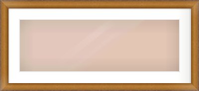 Bronze Cushion Frame for 30 × 10in artwork, with Smooth White Single Mount