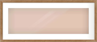Brushed Bronze with Black Sides Flat Frame for 30 × 10in artwork, with Smooth White Single Mount