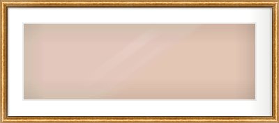 Gold Cushion Frame for 30 × 10in artwork, with Smooth White Single Mount