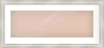 Silver Scoop Frame for 30 × 10in artwork, with Smooth White Single Mount