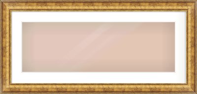 Gold Dome Frame for 30 × 10in artwork, with Smooth White Single Mount