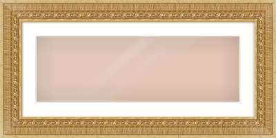 Gold Reverse Frame for 30 × 10in artwork, with Smooth White Single Mount