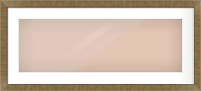 Bronze Flat Frame for 30 × 10in artwork, with Smooth White Single Mount