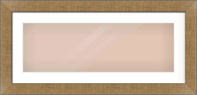 Bronze Flat Frame for 30 × 10in artwork, with Smooth White Single Mount