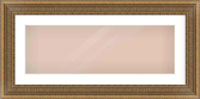 Gold Scoop Frame for 30 × 10in artwork, with Smooth White Single Mount