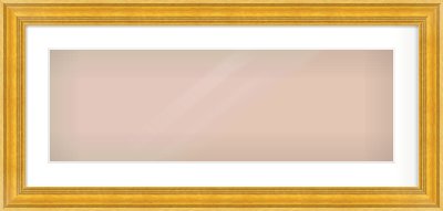 Gold Spoon Frame for 30 × 10in artwork, with Smooth White Single Mount