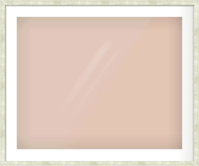 Champagne Flat Frame for 30 × 24in artwork, with Smooth White Single Mount