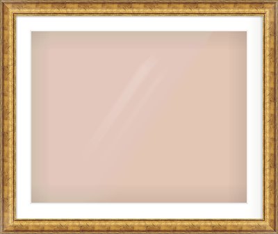 Gold Dome Frame for 30 × 24in artwork, with Smooth White Single Mount