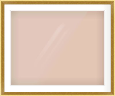 Gold Cushion Frame for 30 × 24in artwork, with Smooth White Single Mount