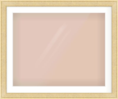Gold Flat Frame for 30 × 24in artwork, with Smooth White Single Mount