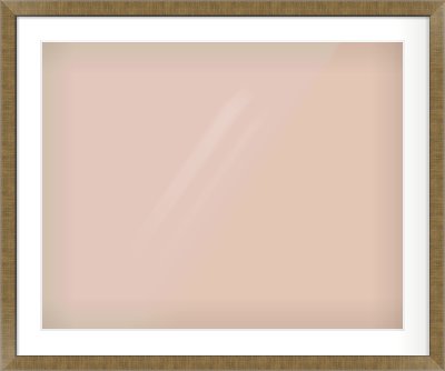 Bronze Flat Frame for 30 × 24in artwork, with Smooth White Single Mount