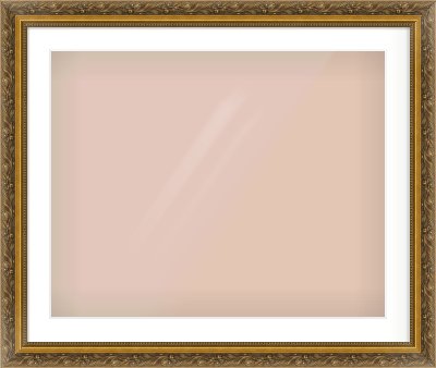 Gold Scoop Frame for 30 × 24in artwork, with Smooth White Single Mount