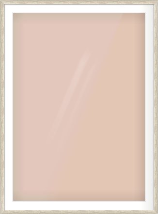 Champagne Silver with Black Sides Cushion Frame for 841 × 1189mm artwork, with Smooth White Single Mount