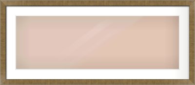 Bronze Flat Frame for 90 × 30cm artwork, with Smooth White Single Mount