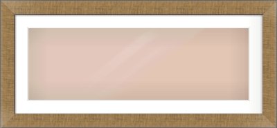 Bronze Flat Frame for 90 × 30cm artwork, with Smooth White Single Mount