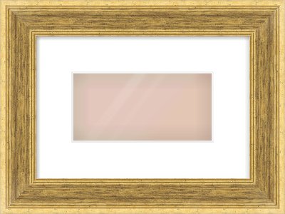 Gold Flat Frame for 8 × 4in artwork, with Smooth White Single Mount