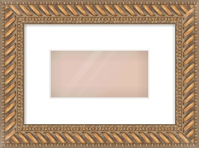 Gold Rope Frame for 8 × 4in artwork, with Smooth White Single Mount